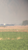 263DA281-19DA-4EEA-8D6C-108DE552FBD0.png