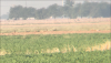 0E346348-F829-430F-86CE-70F332456AB4.png