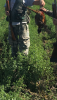 11E15139-FBEC-474E-AF24-A8D888154A3A.png