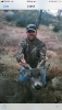 IMG_1379[1].PNG
