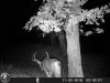 HUNT0239.JPG