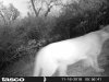 HUNT0007.JPG