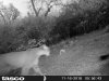 HUNT0008.JPG