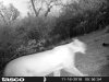 HUNT0010.JPG