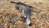 20181124_Deer_Closeup.jpg