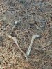 20181205_081859.jpg