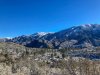 IMG_2851.jpg