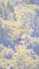 4FF5158D-B33C-4F4F-9EB9-8610AD2B8BF1.png