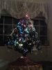 IMG_20181214_202829.jpg