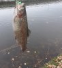 20181215_215615.jpg