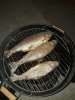 20181217_183828.jpg