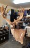 20181224_064842.jpg
