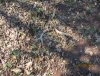 IMG_6484.JPG
