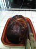 IMG_20181224_165216.jpg
