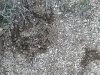 IMG_20181227_145611.jpg