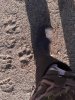 thumbnail_20190112_083420.jpg