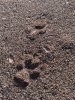 thumbnail_20190112_083426.jpg