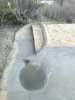 IMG_20190116_095906.jpg