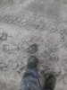 IMG_20190116_101213.jpg