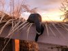 0331648C-6D5E-4DBE-AA96-FD855B4353C6.jpeg
