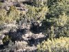 1178577C-03C4-48BD-B236-C630B3DFC898.jpeg