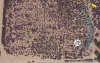 field.png