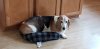 20190117_141354.jpg