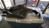 IMG_20190126_112035.jpg