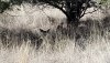 20190122_121611_redux.jpg