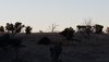 20190122_173628_redux.jpg