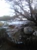 IMG_20190206_063655.jpg
