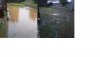 backyard.jpg