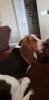 20190214_142246.jpg