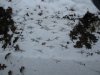 julian-henshaw 2-20-11 030.JPG