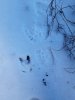 20190216_095016.jpg