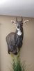 20190219_125637.jpg