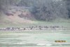 Co. youth hunt 3-2-13 031.JPG
