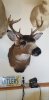 20190315_144320.jpg