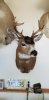 20190330_094537.jpg