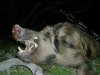 DSC01526.JPG