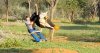 PAY-OUTRAGED-OSTRICH-ATTACKS-MAN.jpg