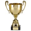 trophy-cup-500x500.jpg