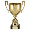 trophy-cup-500x500.jpg