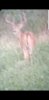 Screenshot_20190424-223359_Gallery.jpg