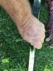 3AE92154-ED74-46B2-B9DB-2400442D24ED.jpeg