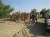 sj work party 8-13-11 006.JPG