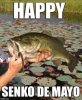 senko.jpg