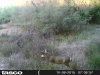 HUNT0301.jpg