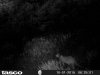 HUNT0271.jpg