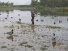 opening duck 2012 San J 015.JPG